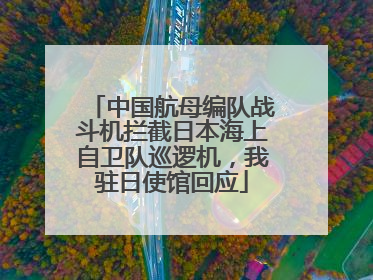 中国航母编队战斗机拦截日本海上自卫队巡逻机，我驻日使馆回应
