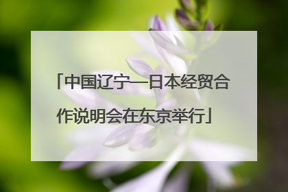 中国辽宁—日本经贸合作说明会在东京举行