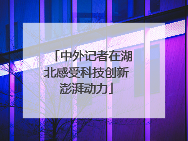 中外记者在湖北感受科技创新澎湃动力