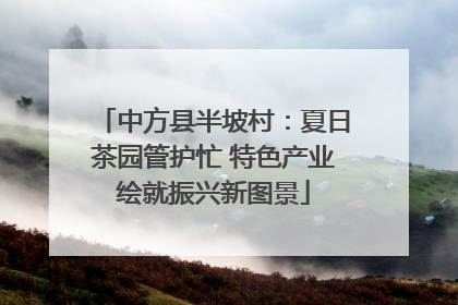 中方县半坡村：夏日茶园管护忙 特色产业绘就振兴新图景