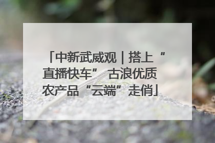中新武威观｜搭上“直播快车” 古浪优质农产品“云端”走俏