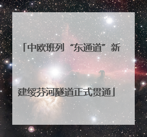 中欧班列“东通道”新建绥芬河隧道正式贯通