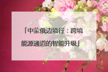 中蒙俄边境行：跨境能源通道的智能升级