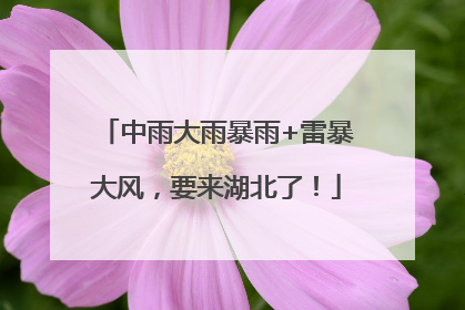 中雨大雨暴雨+雷暴大风，要来湖北了！