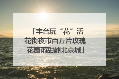 丰台玩“花”活 花街夜市百万片玫瑰花瓣雨甜翻北京城