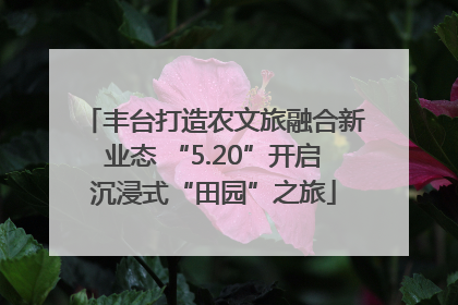 丰台打造农文旅融合新业态 “5.20”开启沉浸式“田园”之旅