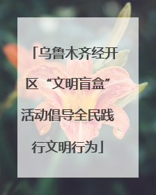 乌鲁木齐经开区“文明盲盒”活动倡导全民践行文明行为