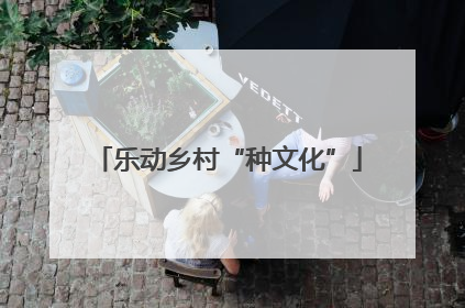 乐动乡村“种文化”