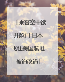 乘客空中欲开舱门 日本飞往美国航班被迫改道