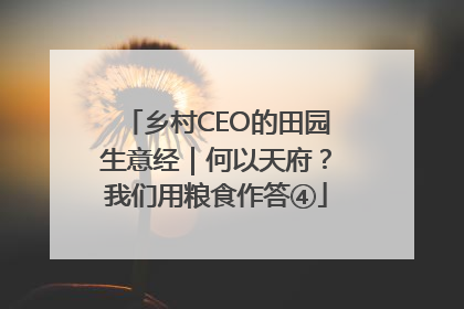 乡村CEO的田园生意经｜何以天府？我们用粮食作答④