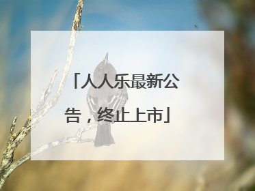 人人乐最新公告，终止上市