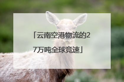 云南空港物流的27万吨全球竞速