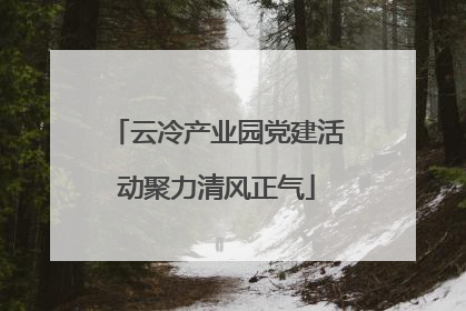 云冷产业园党建活动聚力清风正气