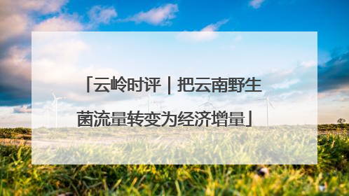 云岭时评｜把云南野生菌流量转变为经济增量