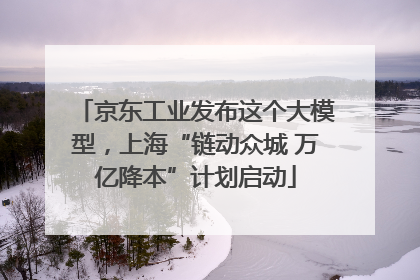 京东工业发布这个大模型，上海“链动众城 万亿降本”计划启动