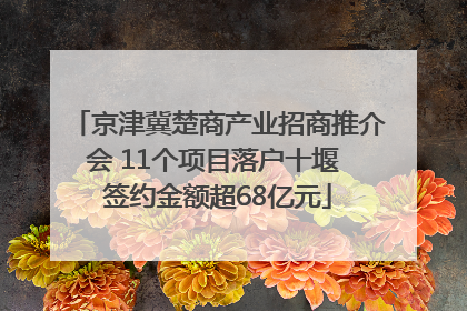 京津冀楚商产业招商推介会 11个项目落户十堰 签约金额超68亿元