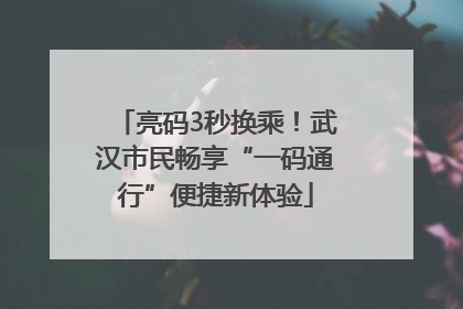 亮码3秒换乘！武汉市民畅享“一码通行”便捷新体验