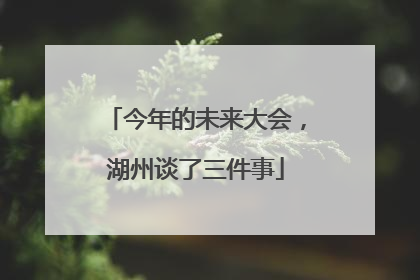 今年的未来大会，湖州谈了三件事