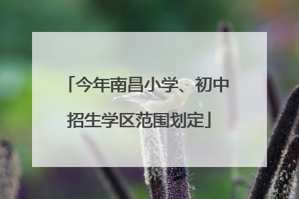 今年南昌小学、初中招生学区范围划定