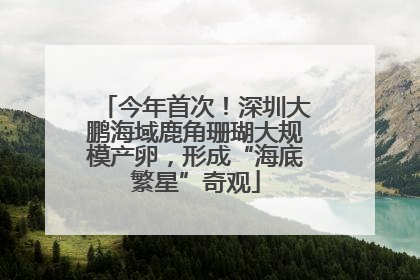 今年首次！深圳大鹏海域鹿角珊瑚大规模产卵，形成“海底繁星”奇观