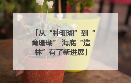 从“种珊瑚”到“育珊瑚” 海底“造林”有了新进展