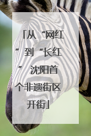 从“网红”到“长红” 沈阳首个非遗街区开街