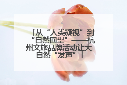 从“人类凝视”到“自然回望”——杭州文旅品牌活动让大自然“发声”