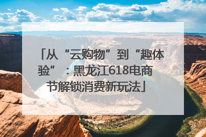 从“云购物”到“趣体验”：黑龙江618电商节解锁消费新玩法