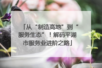 从“制造高地”到“服务生态”！解码平湖市服务业进阶之路