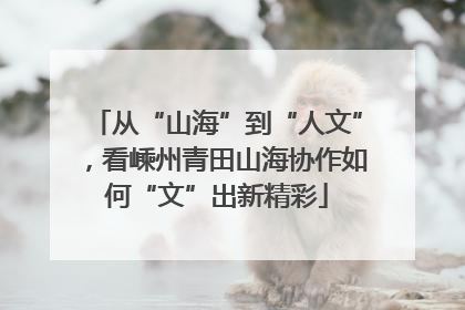 从“山海”到“人文”，看嵊州青田山海协作如何“文”出新精彩