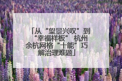 从“望景兴叹”到“幸福样板” 杭州余杭网格“十能”巧解治理难题