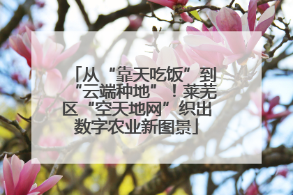 从“靠天吃饭”到“云端种地”！莱芜区“空天地网”织出数字农业新图景