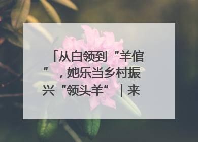 从白领到“羊倌”，她乐当乡村振兴“领头羊”｜来长沙 创未来