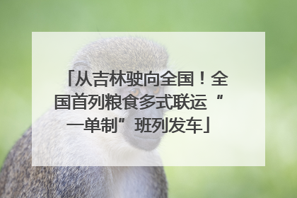 从吉林驶向全国！全国首列粮食多式联运“一单制”班列发车
