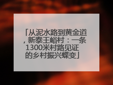 从泥水路到黄金道，新泰王峪村：一条1300米村路见证的乡村振兴蝶变