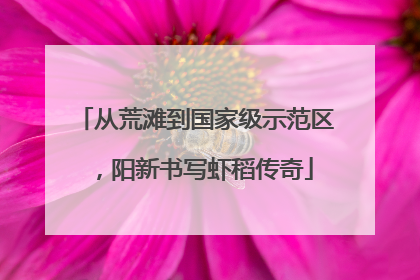 从荒滩到国家级示范区，阳新书写虾稻传奇