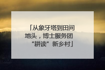 从象牙塔到田间地头，博士服务团“耕读”新乡村