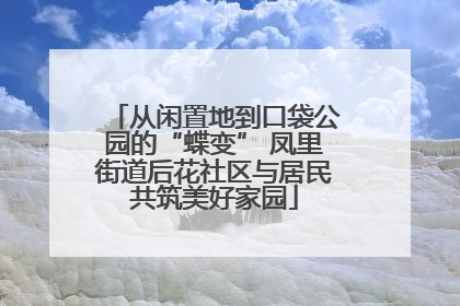 从闲置地到口袋公园的“蝶变” 凤里街道后花社区与居民共筑美好家园