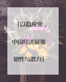 以稳应变，中国经济展现韧性与潜力