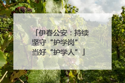 伊春公安：持续坚守“护学岗” 当好“护学人”