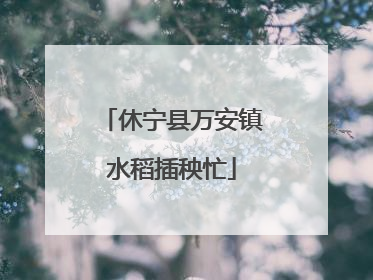 休宁县万安镇水稻插秧忙