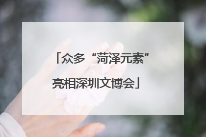 众多“菏泽元素”亮相深圳文博会