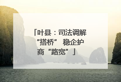 叶县：司法调解“搭桥” 稳企护商“路宽”