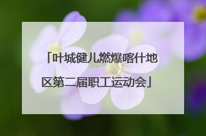 叶城健儿燃爆喀什地区第二届职工运动会