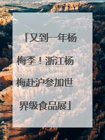 又到一年杨梅季！浙江杨梅赴沪参加世界级食品展