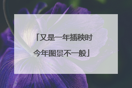 又是一年插秧时 今年图景不一般