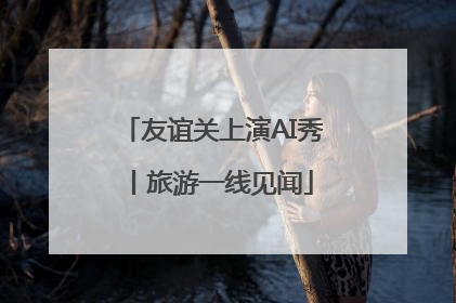 友谊关上演AI秀丨旅游一线见闻