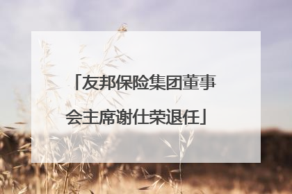 友邦保险集团董事会主席谢仕荣退任