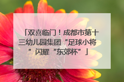 双喜临门！成都市第十三幼儿园集团“足球小将”闪耀“东郊杯”