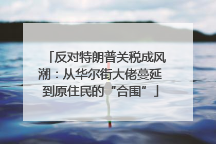 反对特朗普关税成风潮：从华尔街大佬蔓延到原住民的“合围”